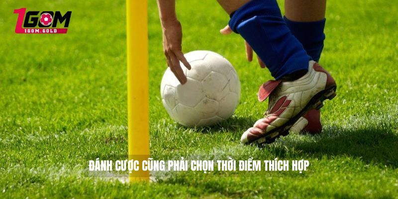 Đánh cược cũng phải chọn thời điểm thích hợp