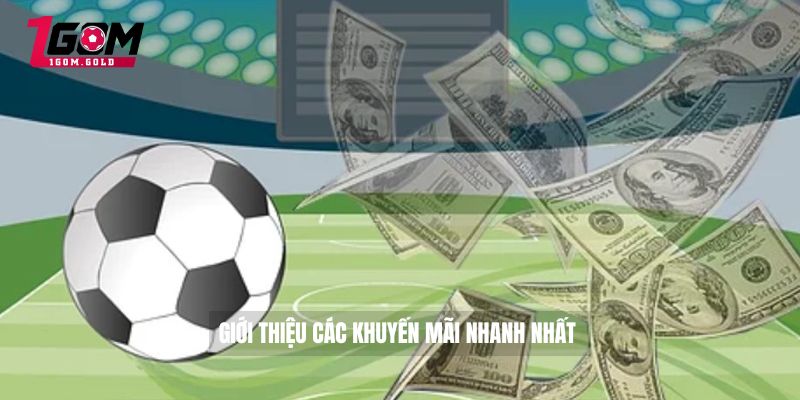 Giới thiệu 1GOM 3 Giới thiệu các khuyến mãi nhanh nhất