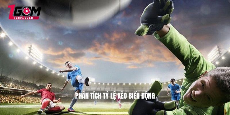 Phân tích tỷ lệ kèo biến động
