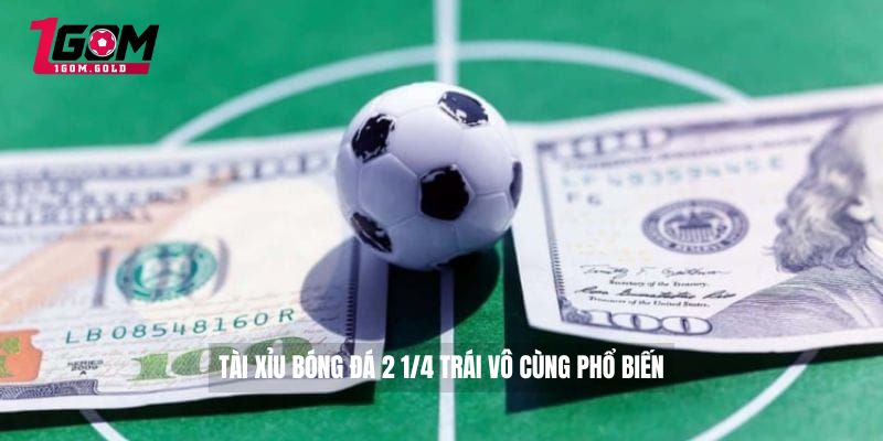 Soi Kèo Tài Xỉu Bóng Đá - Bí Kíp Đánh Tài Xỉu Bóng Đá Cực Dễ 4 Tài xỉu bóng đá 2 1/4 trái vô cùng phổ biến