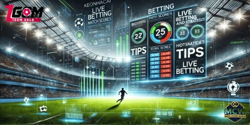 Nhận định từ chuyên gia 1gom về trước trận đấu